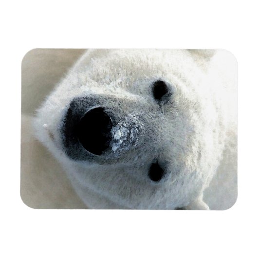 Polar Bear Magneet (Horizontaal)