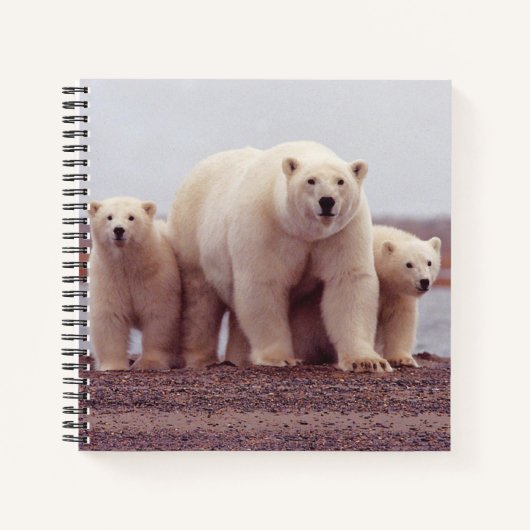 Polar Bear Mother and Cubs Photo Notitieboek (Voorkant)