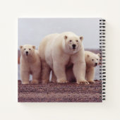 Polar Bear Mother and Cubs Photo Notitieboek (Achterkant)