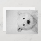 Polar-bear, Polar-bear Canvas Gift for Her Aankondigingskaart (Voorkant / Achterkant)