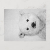 Polar-bear, Polar-bear Canvas Gift for Her Aankondigingskaart (Voorkant)