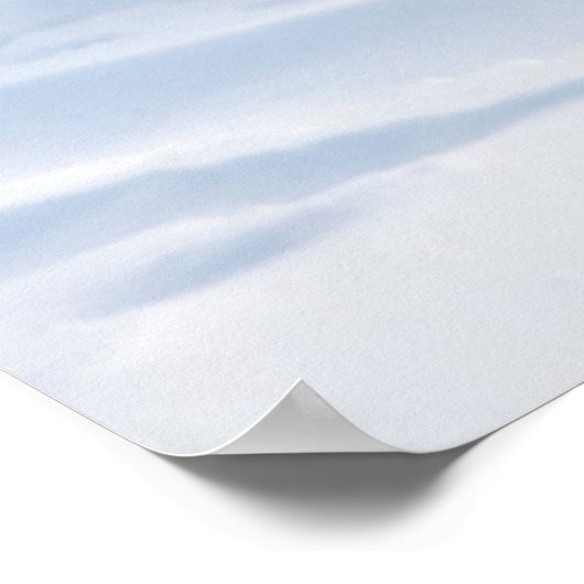 Polar Bear Poster (Hoek)