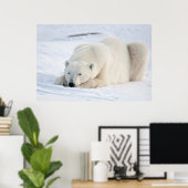 Polar Bear Poster (Thuiskantoor)