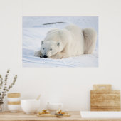 Polar Bear Poster (Keuken)