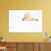 Polar bear scratching itself on frozen tundra canvas afdruk (Insitu (Woonkamer))