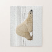 Polar bear scratching itself on frozen tundra legpuzzel (Verticaal)