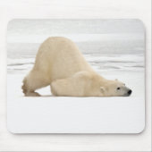 Polar bear scratching itself on frozen tundra muismat (Voorkant)