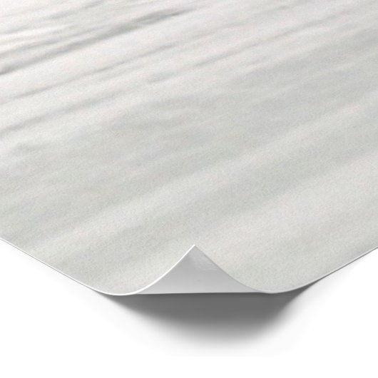 Polar bear scratching itself on frozen tundra poster (Hoek)