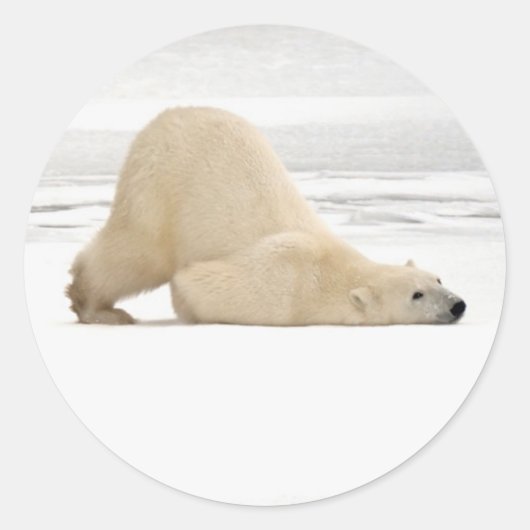 Polar bear scratching itself on frozen tundra ronde sticker (Voorkant)