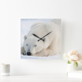 Polar Bear Vierkante Klok (Huis)