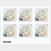 Polar Bear Vierkante Sticker (Vel)