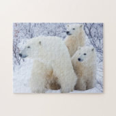 Polar Bears and Two cubs Legpuzzel (Horizontaal)