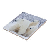 Polar Bears and Two cubs Tegeltje (Zijkant)