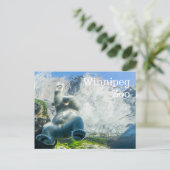 Polar Bears at the Winnipeg Zoo Feestdagenkaart (Staand voorkant)