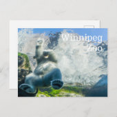 Polar Bears at the Winnipeg Zoo Feestdagenkaart (Voorkant / Achterkant)