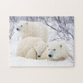 Polar Bears female and Two cubs 3 Legpuzzel (Horizontaal)