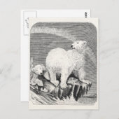  Polar Beer 1800s Arctic Beren Illustration Briefkaart (Voorkant / Achterkant)