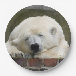 Polar_Beer_2015_0301 Papieren Bordje