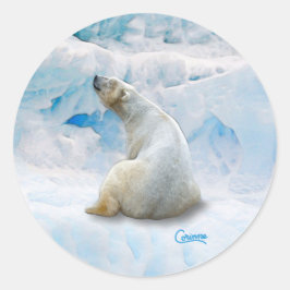 Polar Beer 2 - Envelope Stickers