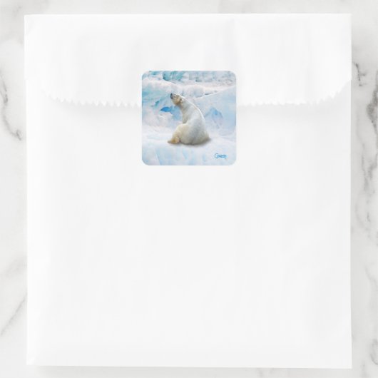 Polar Beer 2 - Envelope Stickers (Tas)