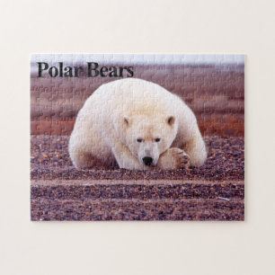 Polar Beer 7 Jigzaag Puzzle Legpuzzel