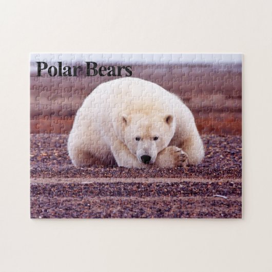 Polar Beer 7 Jigzaag Puzzle Legpuzzel (Horizontaal)