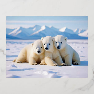 Polar Beer Animal Natuur Wildlife Affection Caring Folie Feestdagen Briefkaart