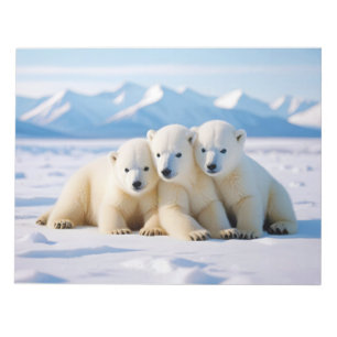Polar Beer Animal Natuur Wildlife Affection Caring Notitieblok