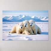 Polar Beer Animal Natuur Wildlife Affection Caring Poster (Voorkant)