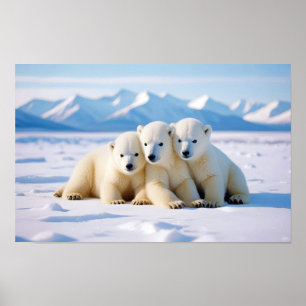 Polar Beer Animal Natuur Wildlife Affection Caring Poster