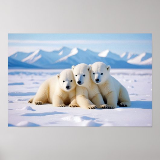 Polar Beer Animal Natuur Wildlife Affection Caring Poster (Voorkant)