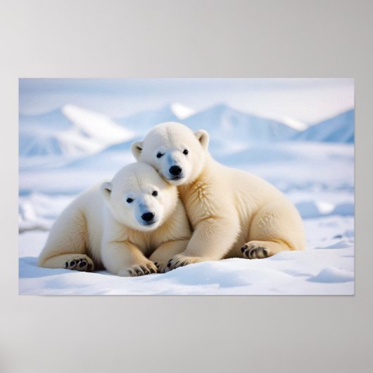 Polar Beer Animal Natuur Wildlife Affection Caring Poster (Voorkant)