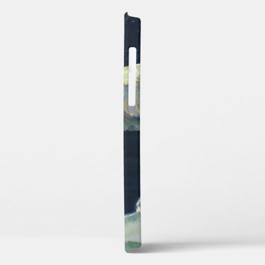  Polar Beer, Arctic Marine Life Animals Case-Mate iPhone Case (Achterkant / Links)