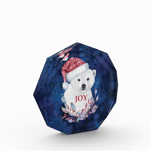 Polar Beer Baby Pet Fotoblokken (Links)