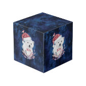 Polar Beer Baby Pet Kubus (Achter hoekig)