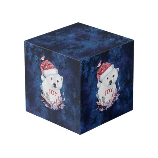 Polar Beer Baby Pet Kubus (Voorkant hoekig)