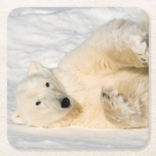 Polar Beer bij Hudson Bay Kartonnen Onderzetters