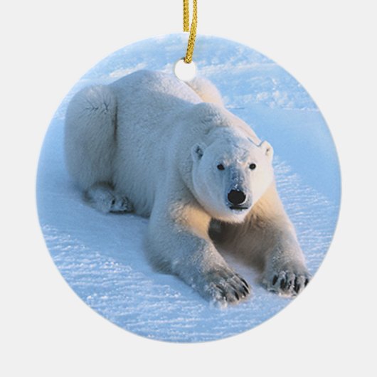 Polar Beer Blue Keramisch Ornament (Voorkant)