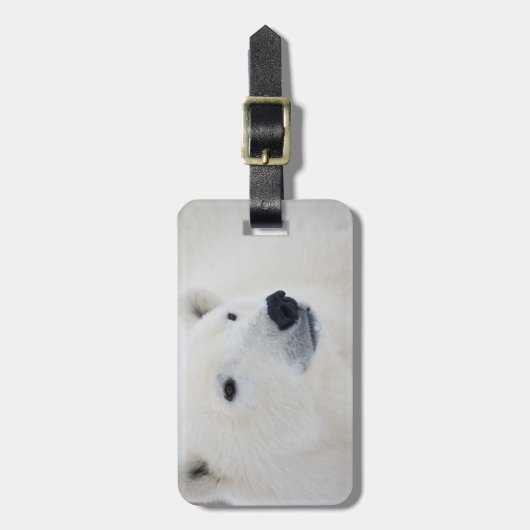 Polar Beer Churchill Bagagelabel (Voorkant verticaal)