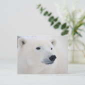 Polar Beer Churchill Briefkaart (Staand voorkant)