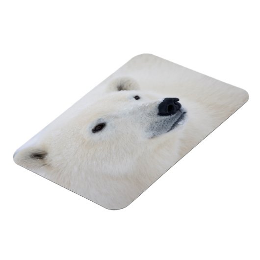 Polar Beer Churchill Magneet (Linkerzijde)