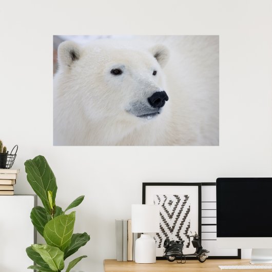 Polar Beer Churchill Poster (Thuiskantoor)