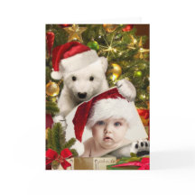 Polar Beer Cub met uw foto voor Kerstmis