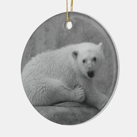 Polar Beer Cub Ornament (Links)