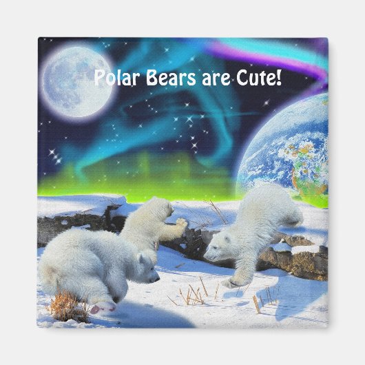 Polar Beer Cubes & Aurora Wildlife Art Magnet (Voorkant)