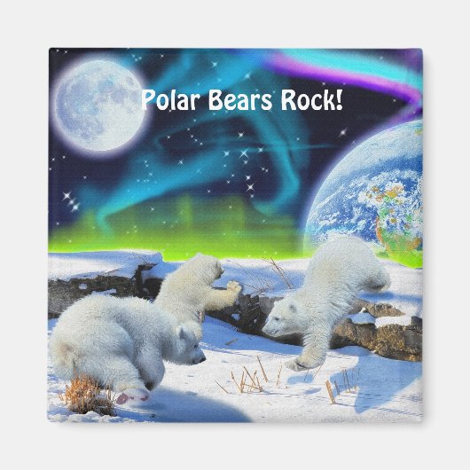 Polar Beer Cubes & Aurora Wildlife Art Magnet (Voorkant)