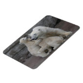 Polar Beer Cubs Magneet (Linkerzijde)
