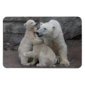 Polar Beer Cubs Magneet (Horizontaal)