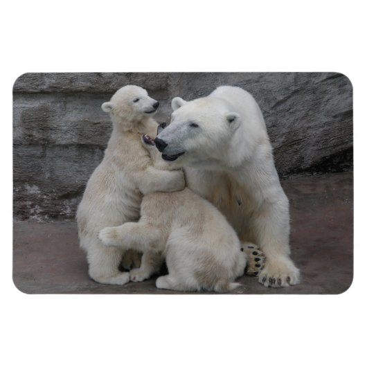 Polar Beer Cubs Magneet (Horizontaal)