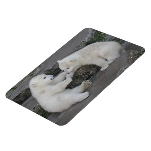 Polar Beer Cubs Magneet (Linkerzijde)
